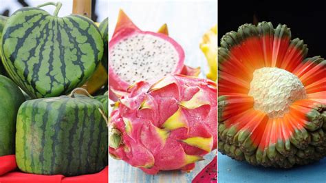 Ranking de las frutas raras y más exóticas que existen ¡Te sorprenderán!