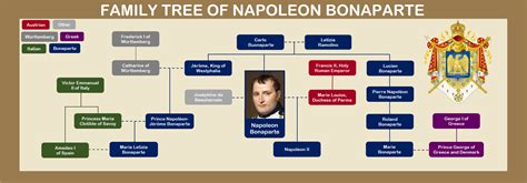 Family Tree of Napoleon : r/UsefulCharts