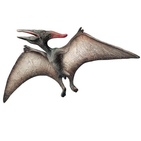 Pteranodon (Pterodactyl) Model