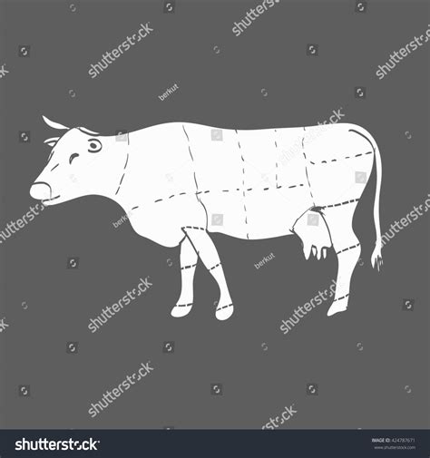 Cuts Beef Vector Illustration Stock Illustration 424787671 | Shutterstock