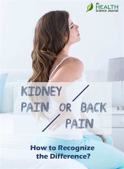 Back Pain or Kidney Pain? How to Recognize the Difference? - The Health Science Journal