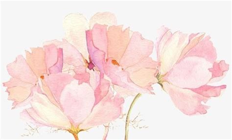 Literary Beautiful Pink Flower Painted Decoration PNG Images, Flower Clipart, Hand Painted ...