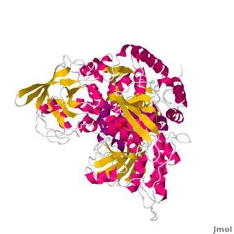 Aconitase - Proteopedia, life in 3D