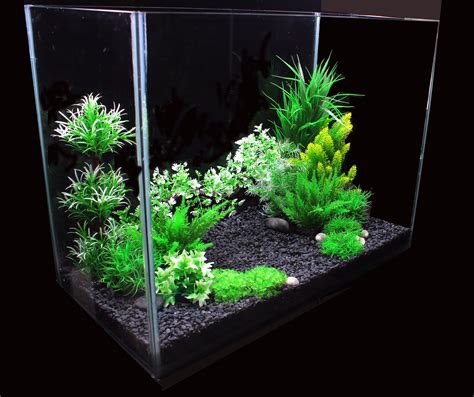 Do Betta Fish Like Fake Plants at Herbert Sherer blog