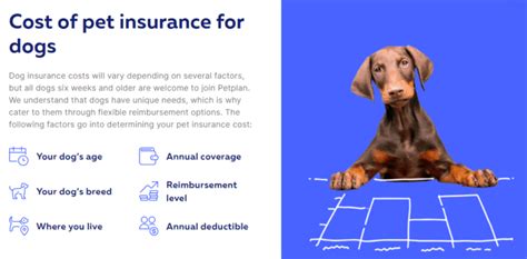 Dog Insurance Plans: Compare The Best Options