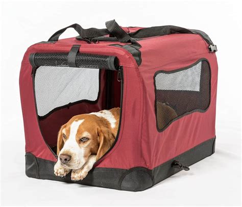 6 Best Portable Dog Crates for Traveling - BarkForce