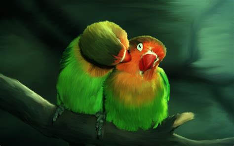 Love Birds Wallpapers High Quality | Download Free