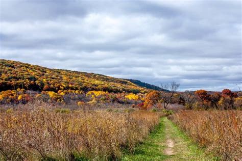 Wisconsin Fall Colors- 16 Top Spots for Epic Fall Foliage