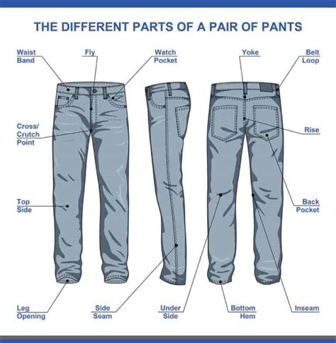 15 Different Types of Unisex Pants (Women and Men - List)