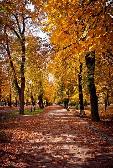 Autumn in Cluj/Napoca (Romania) Central Park, 2009 Beautiful Landscapes, Beautiful Places ...