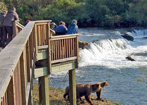 Katmai National Park Bear Viewing with overnight in King Salmon ...