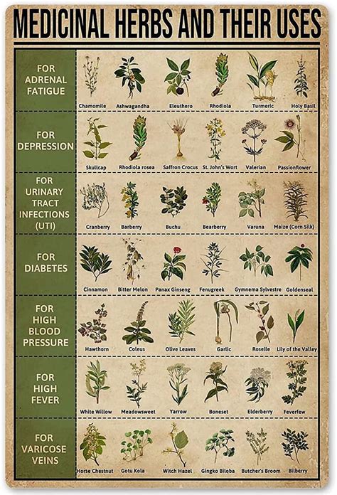 Medicinal Herbs and Their Uses Holistic Metal Sign Vintage - Etsy | Geneeskrachtige planten ...