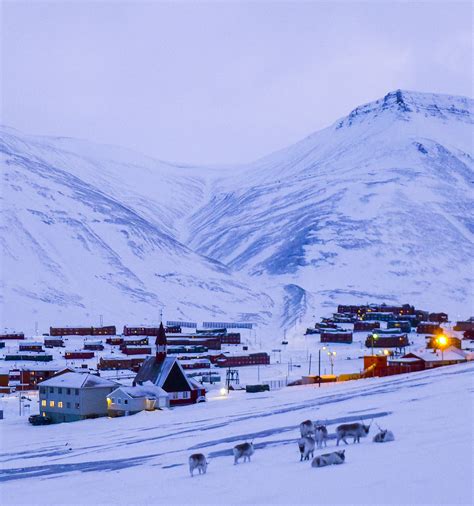 Longyearbyen on Svalbard has more to offer than polar bears - Visit ...