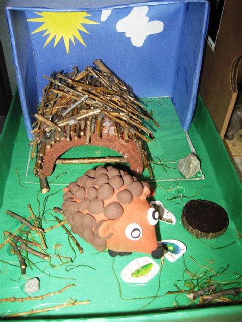 animal habitat projects | Habitats projects, Animal habitats, Play ...