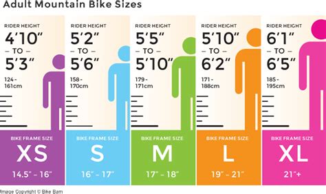 Bike Size Guide How To Fit An Adult Bike Schwinn Bikes | Images and ...