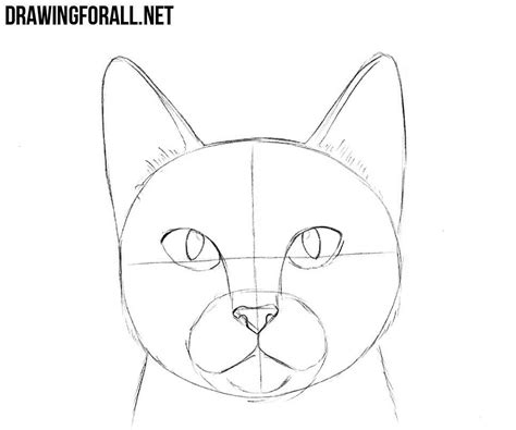 How to Draw a Cat Head
