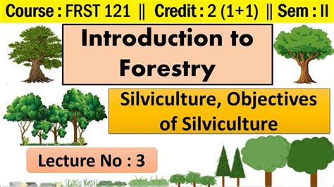 B.Sc.Agri 🌸 L - 3🌸 FRST 121🌸 Silviculture, Objectives of Silviculture 🌸 ...