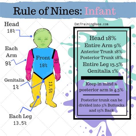 Rule of Nines for EMS - EMT Training Base