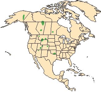 American Bison Range Map (Redrawn from Burt and Grossenheider, 1976 ...