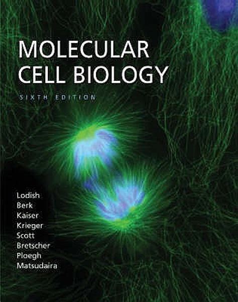 Molecular Cell Biology 6TH Edition 6th Revised edition Edition - Buy Molecular Cell Biology 6TH ...