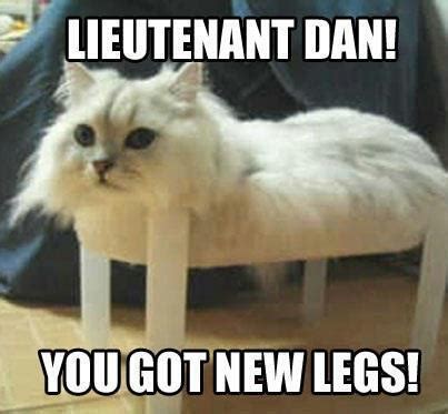 Austin.com funny-forrest-gump-parody-cat-memes