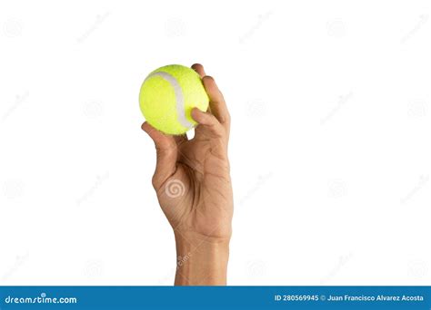 Black Male Hand Holding a Tennis Ball Isolated Stock Image - Image of show, ball: 280569945