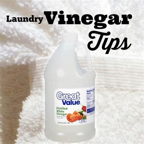 Laundry Vinegar Tips plus more - Refresh Restyle