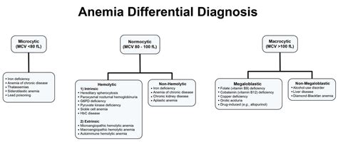 Normocytic Anemia - Causes, Signs and symptoms, Treatment