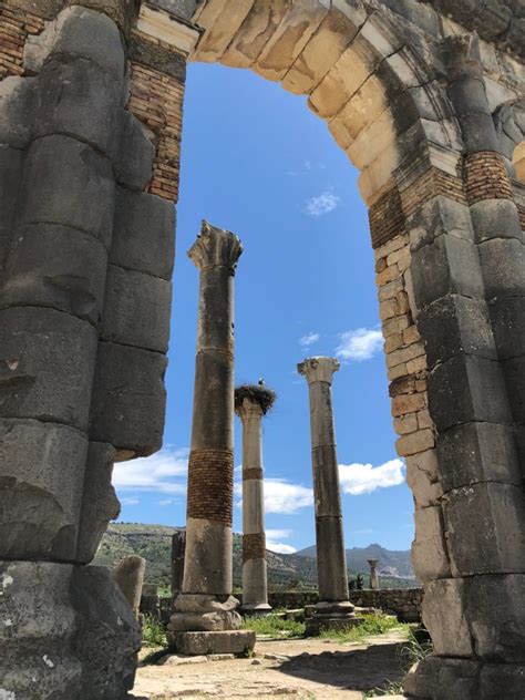 Volubilis In 10 Pictures » Traveling Bytes