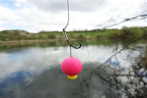 How can you miss these carp fishing terminal tackles if you like carp ...