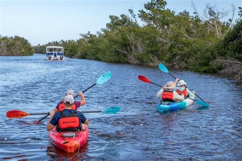 Miami Wellness and Adventure Options - Travel To Wellness