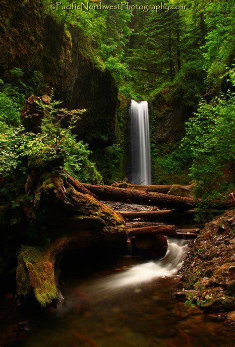 Columbia River waterfall, Oregon | Waterfall, Oregon waterfalls, Beautiful waterfalls