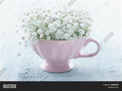 Pink Cup White Flowers Image & Photo (Free Trial) | Bigstock