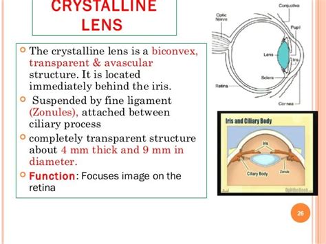 Ocular physiology_2014