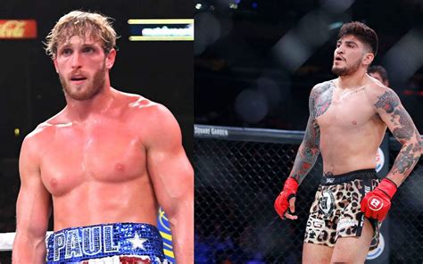 Logan Paul vs. Dillon Danis: Dillon Danis demands to know 'where's Nina ...