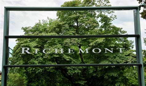 Richemont buys majority stake in Italian luxury shoemaker Gianvito ...