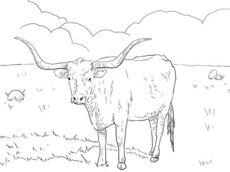 Texas Longhorn Cow coloring page | SuperColoring.com