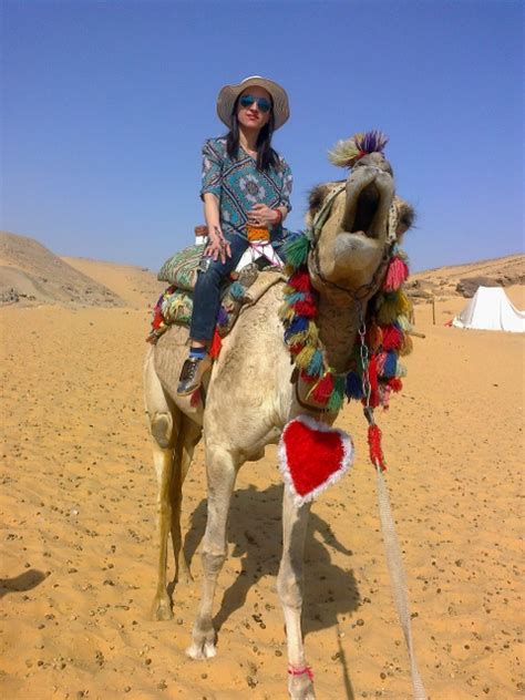 Camel Riding - Luxor Local Guide - Enjoy Egypt Tours