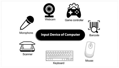 What Is An Input Device Types Of Input, 49% OFF