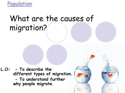 PPT - What are the causes of migration? PowerPoint Presentation, free ...