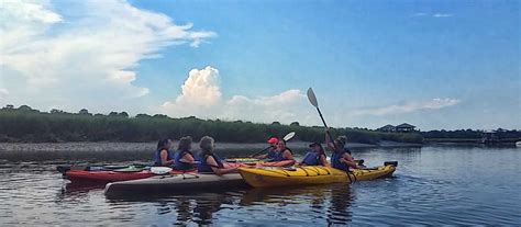 Charleston Kayak Tours & Shem Creek Kayak Tours