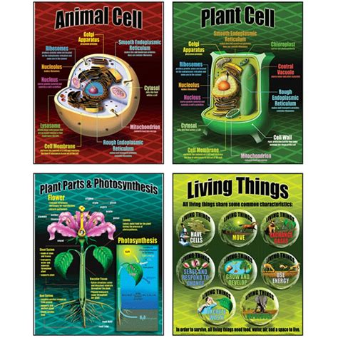 Life Science Teaching Poster Set - MC-P077 | Teacher Created Resources