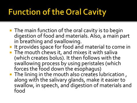 PPT - Oral Cavity, Teeth, Tongue, and Salivary Glands PowerPoint ...