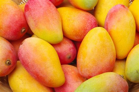 Buy Fresh Mangoes Online - Mango Maven