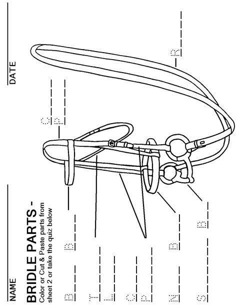 Pin on Illustrations & Handouts