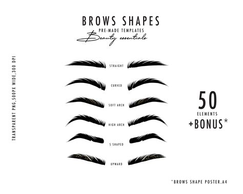 Eyebrows Svg. Brow Clipart SVG. Makeup Png, Brows Clip Art, Makeup SVG ...