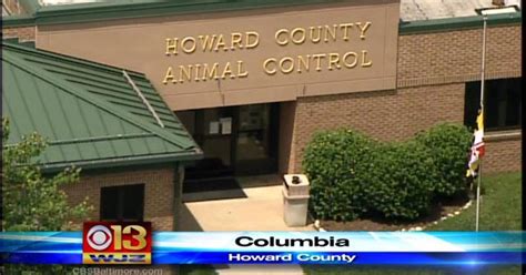 Howard County Animal Control Shelter Closed Due To Ringworm Outbreak - CBS Baltimore