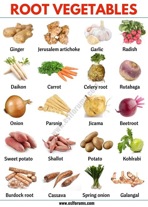 Root Vegetables: List of 20 Root Vegetables with ESL Picture! - ESL Forums | Gezond eten ...