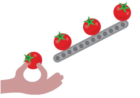 Animated Tomatoes - Beautiful Tomato Animations | Your Website Name