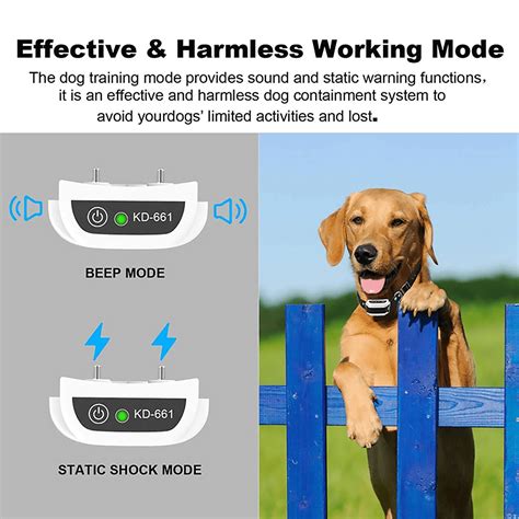 Wireless Dog Fence - Collar Trainer